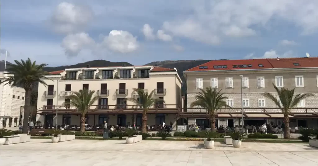 Tivat coastal promenade Pine