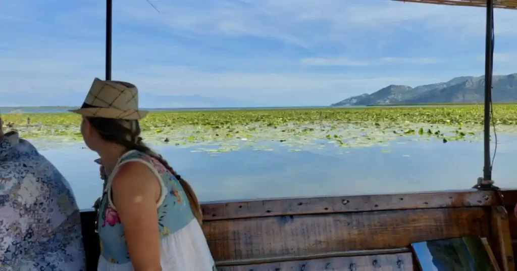 Lake Skadar Boat Trip