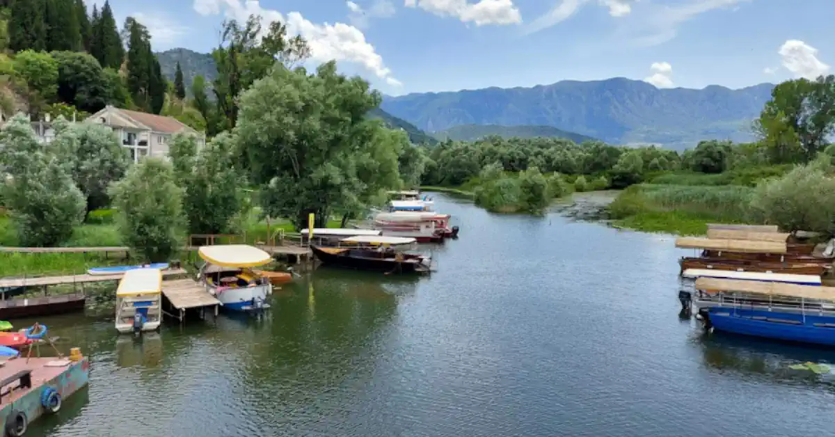 Skadar Lake Montenegro