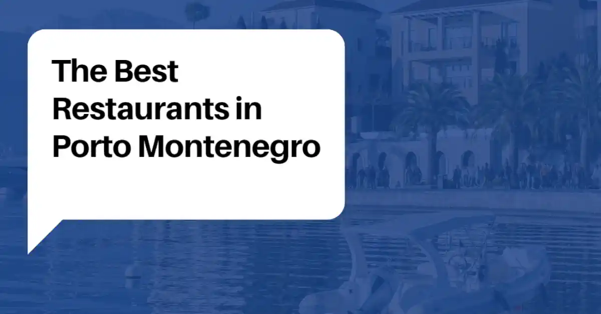 Best Restaurants in Porto Montenegro Guide