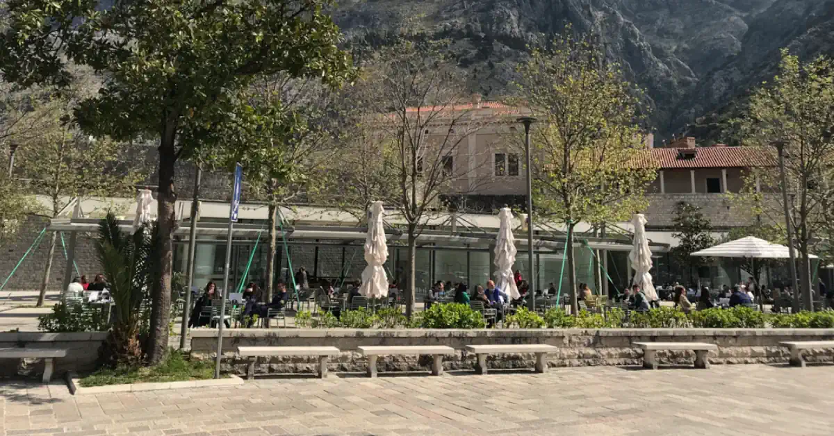 Dojmi Kotor