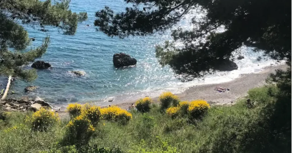 Beach Bar Montenegro