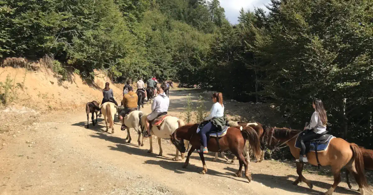 Horseback Riding Kolasin